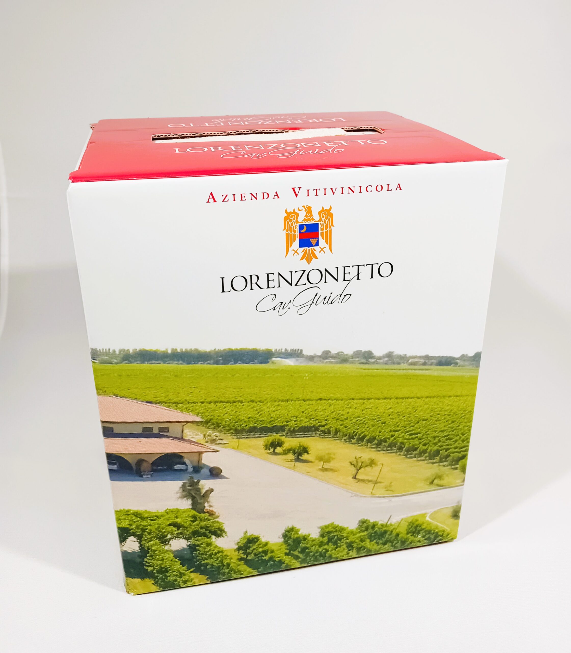 Bag-in-box